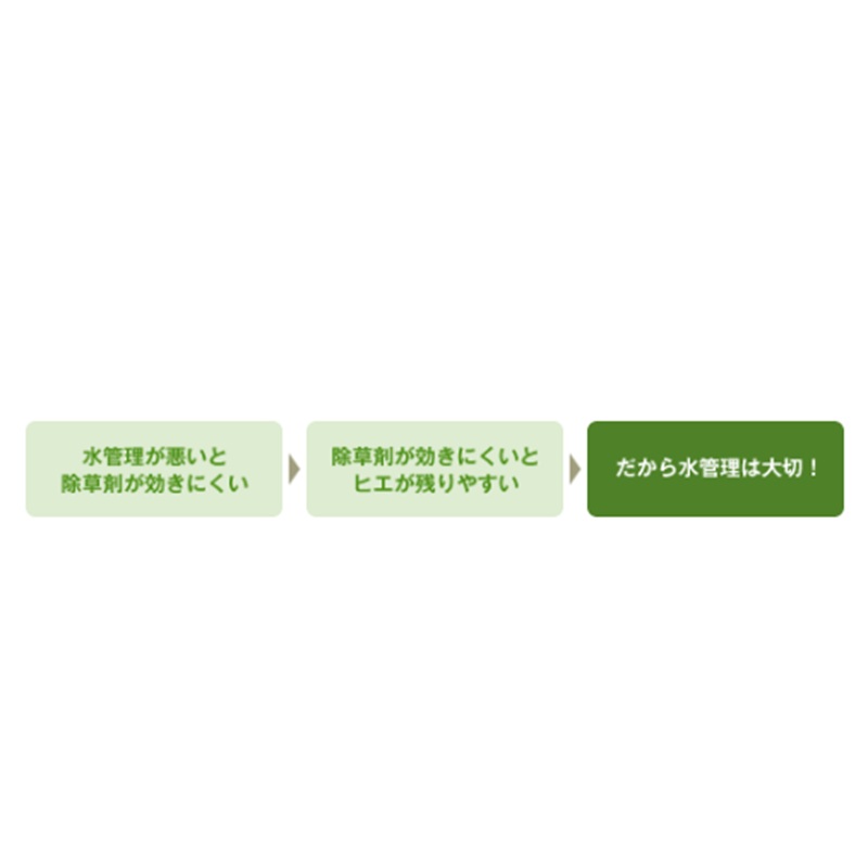 ヒエ防除には水管理が重要