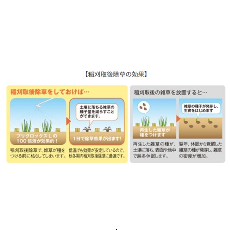水管理が難しくてもヒエに効く