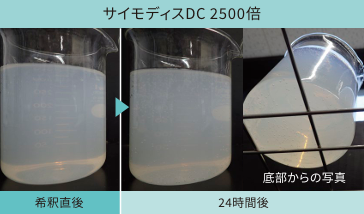 サイモディスDC 2500倍 希釈液の状態