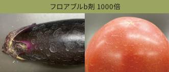 フロアブル剤 1000倍