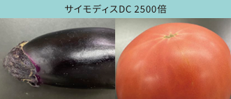 サイモディスDC 2500倍