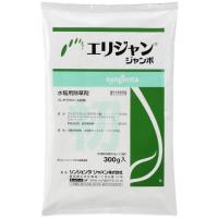 エリジャンジャンボ_300g