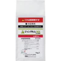 ジャンダルムMX1キロ粒剤_1kg