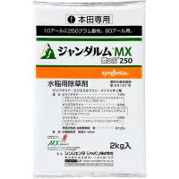 ジャンダルムMX豆つぶ250_2kg