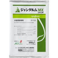 ジャンダルムMXジャンボ_250g