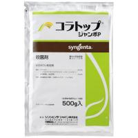 コラトップジャンボP_500g