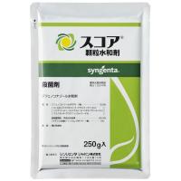 スコア顆粒水和剤｜シンジェンタジャパンの農業用農薬（殺虫剤・殺菌剤